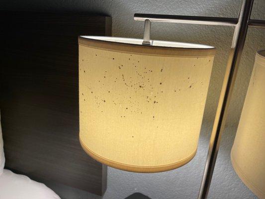 Moldy Lampshade