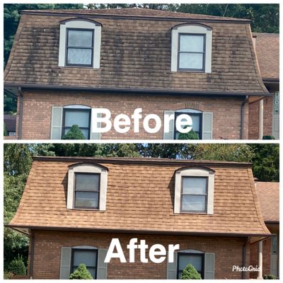 Roof wash before and after