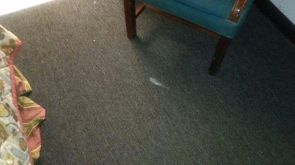 White Stains in carpet