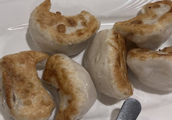 Pan fried pork dumplings