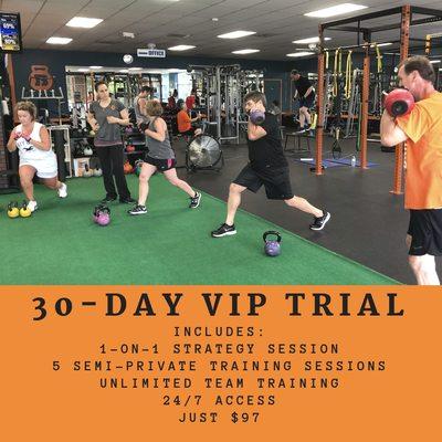 30-Day VIP Trial