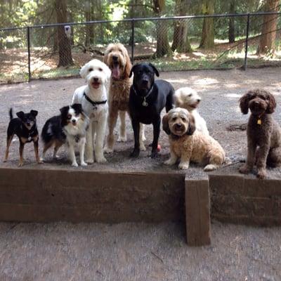 Off leash park crew