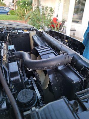 Cleaned and detailed engine bay.