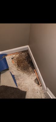 Water damage due to sheet rock glued directly to cement wall.