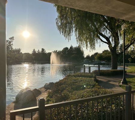 Early Evening at Lake Harveston