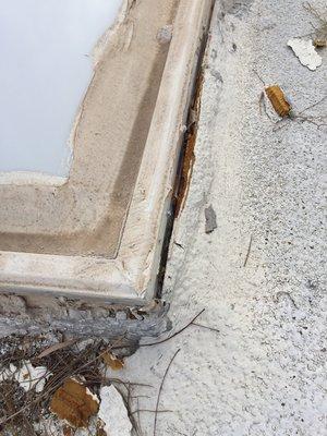 A bubble on the ceiling inside is typically a water leak.  Sure enough, the foam roof is no longer sealed to this skylight.