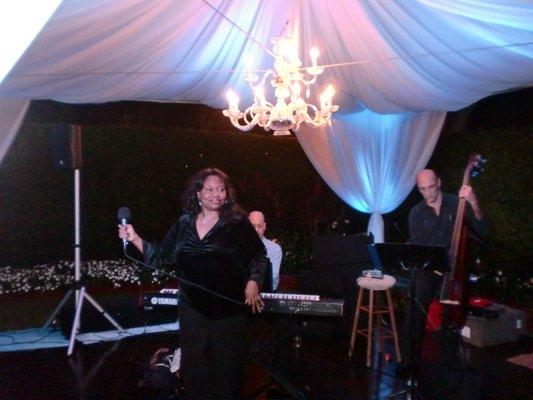 Teri Wilson and company performing at private gala.