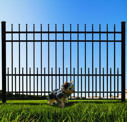 Our patented Puppy Guard Add on Panels to any new or existing Aluminum Fence