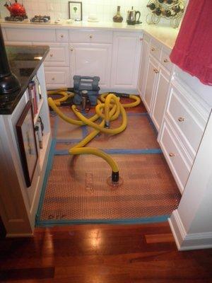 Insight restoration can help you from losing your valued wooden floors.