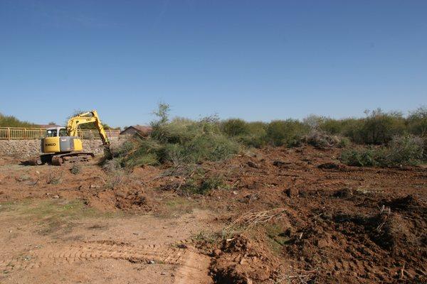 Land Clearing