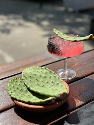 National tequila day is Wednesday 

"The Prick"
Cactus Paddle Infused Hotel California Tequila