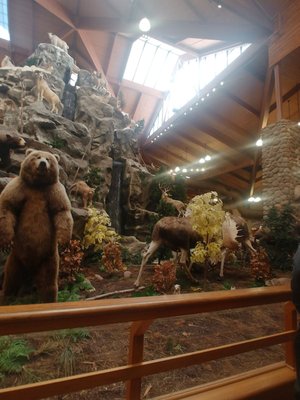 Dundee Michigan Cabela's