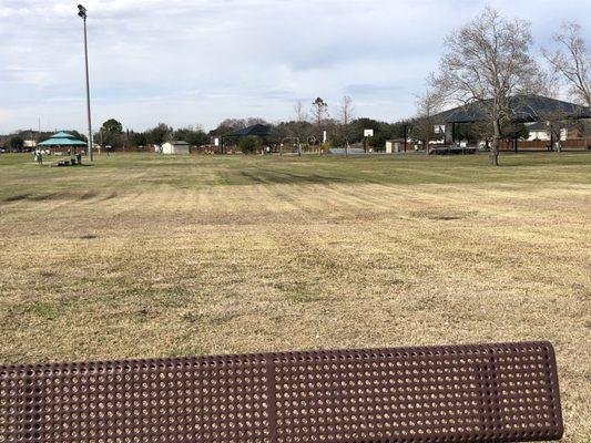 Basketball, water sprinklers for the kids, you can play flag football, soccer, etc.