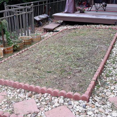 This was a overgrown  vegetable garden the customer wanted it all cleaned out