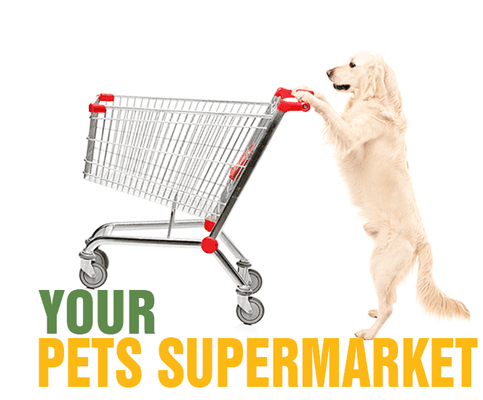 A2Z Pet Supplies