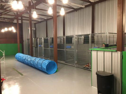 Our spacious kennels