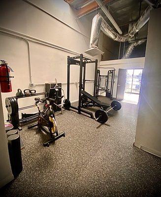 Strength training gym area for that 100 mph backdoor slider