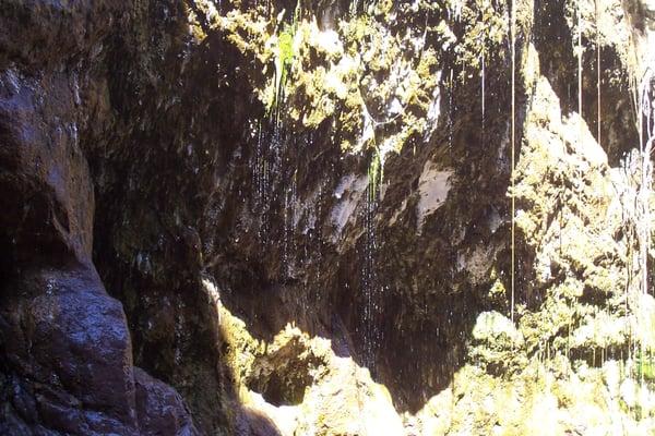 Hot springs flowing from canyon wall.