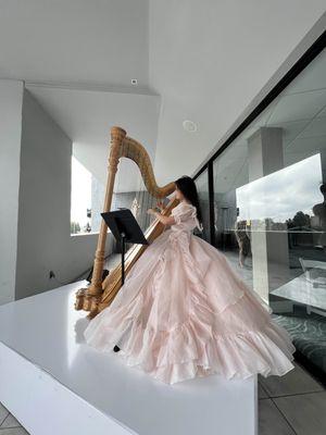 SeikaHarp- wedding ceremony music at the Hilton