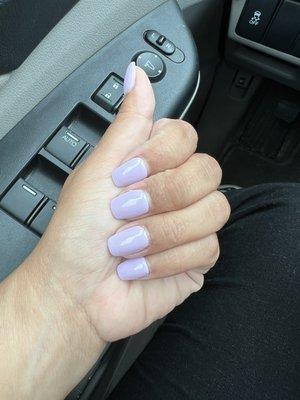 Lilac fields dip powder nails coffin shape