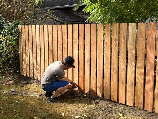 New cedar fence installed in seaview.