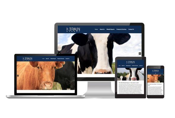 Custom website design for Braun Export.