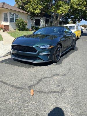 Maintenance wash leaving this stallion ready for the track