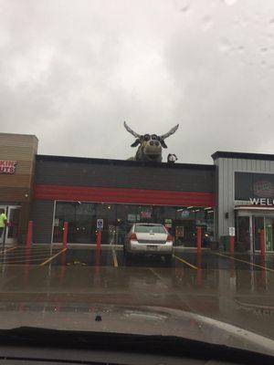 It's a moose on the building! Lol