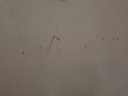 Scuff marks left in the hallway