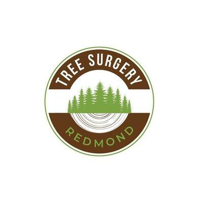 Tree Surgery Redmond