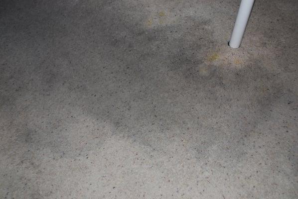 The carpet would strangely turn black from uncleaned stuff under the carpets, which was never addressed.