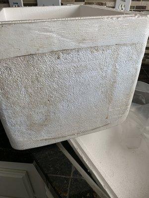 The stain on the cooler box from the melted dry ice and crawfish juice