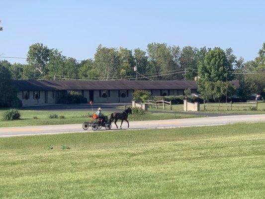 Amish Country, so cool