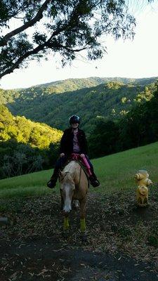 Milo, the adorable palomino horse in the picture, has taught me so much about how to be a better rider.