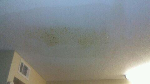 Came home from work to find a leaking roof. That was 3 weeks ago and it's still not fixed.