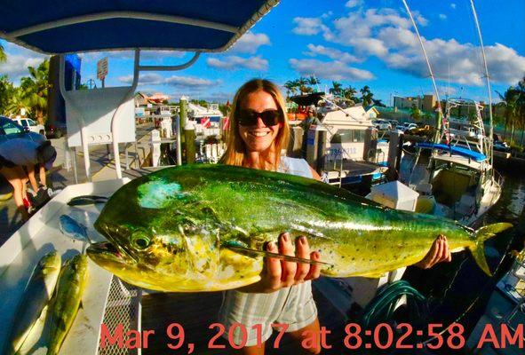 Mahi mahi starting to show up with the arrival of cold fronts!