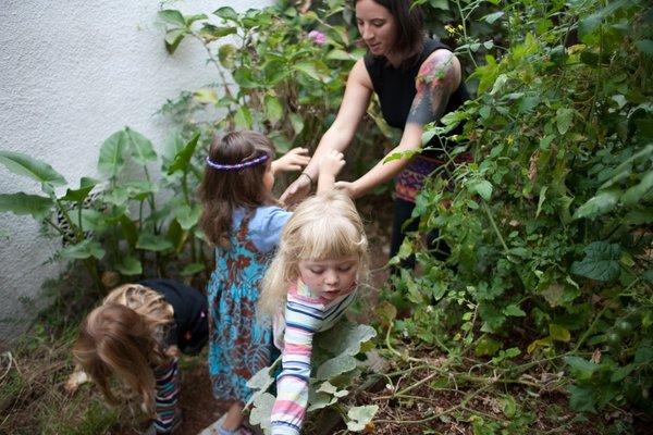 Picking peas in the garden