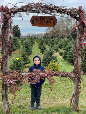 Yetter Road Christmas Tree Farm