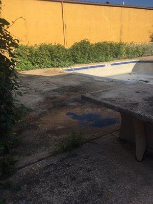 Pool, doesn't look like it's ever been used, at least not for a long time.