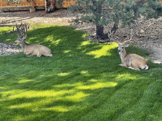 Outside UCHealth PC Rockrimmon-Bucks