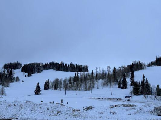 View from front door. Ski slope!