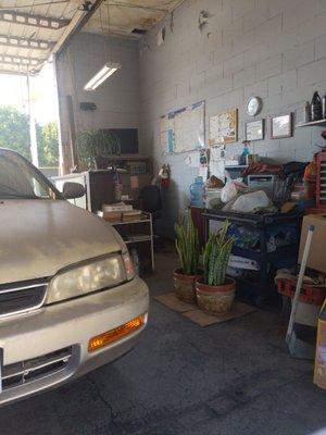 The shop