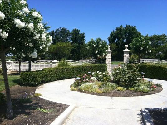 Cute little garden area in front