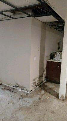 Mold jobs we have successfully remediated