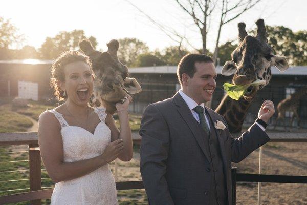 Fun wedding at the Toledo Zoo!