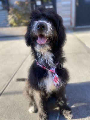 Fred showing off his blowout, trimmed brows, and filed toenails.