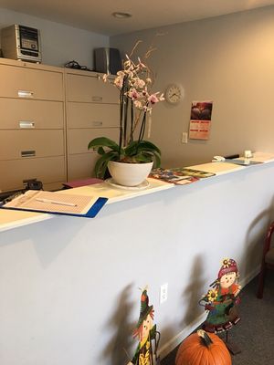 Inviting front desk in our spacious waiting room