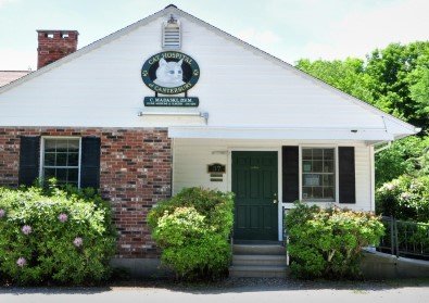 Cat Hospital of Canterbury