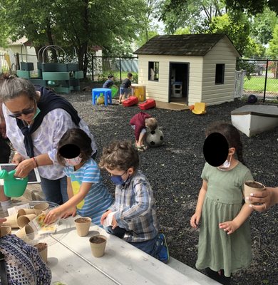 Planting sunflowers after the family garden tour