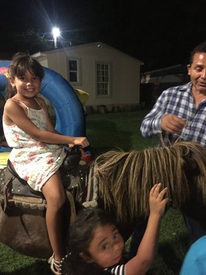 Know "La Chocolata " Pony rides